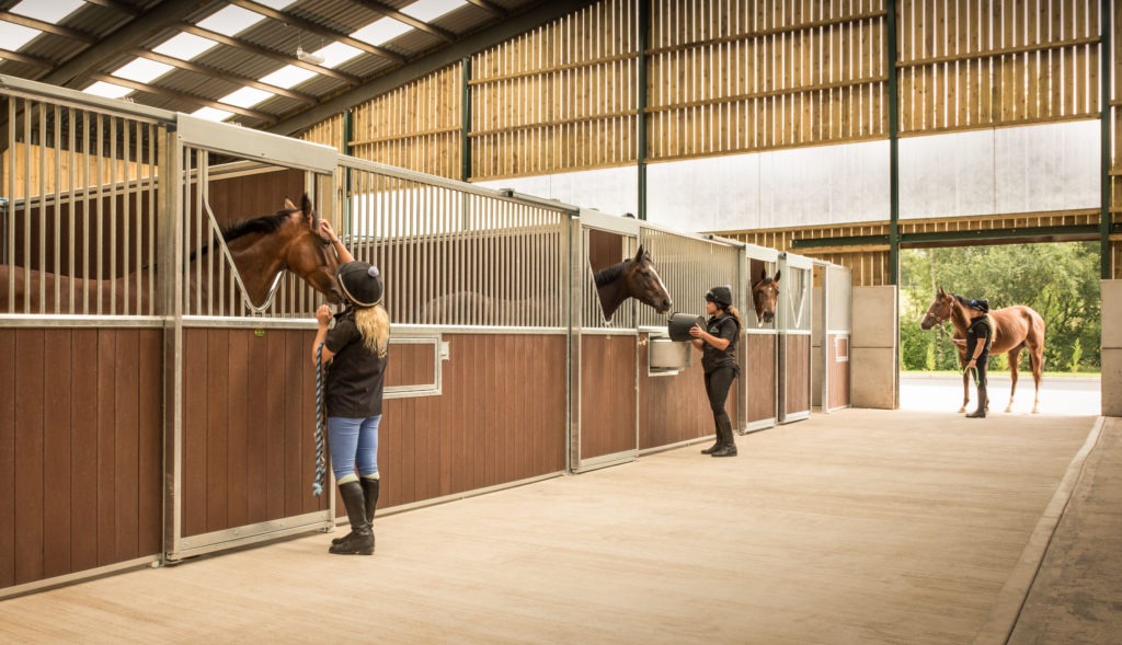 indoor barn