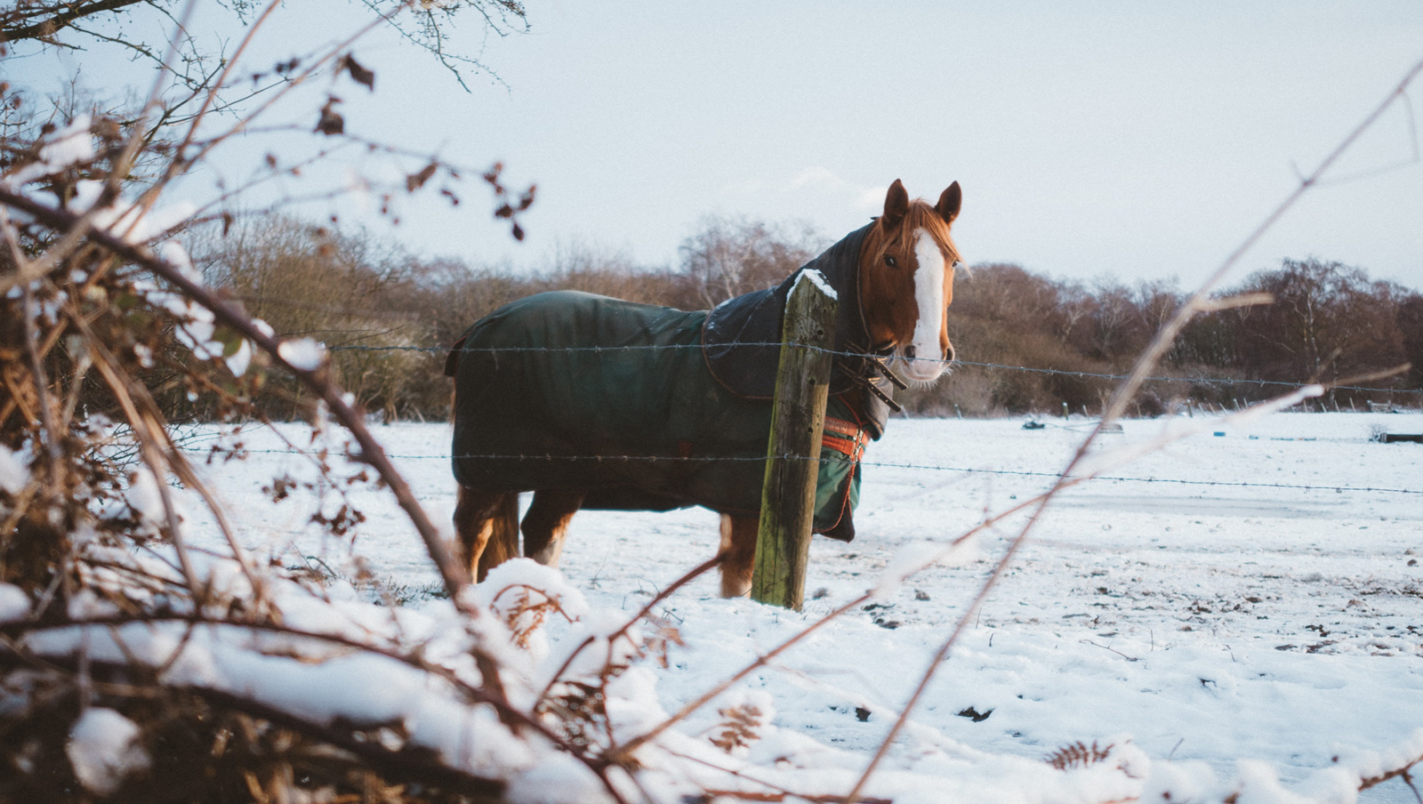 Photo by David Preston Unsplash