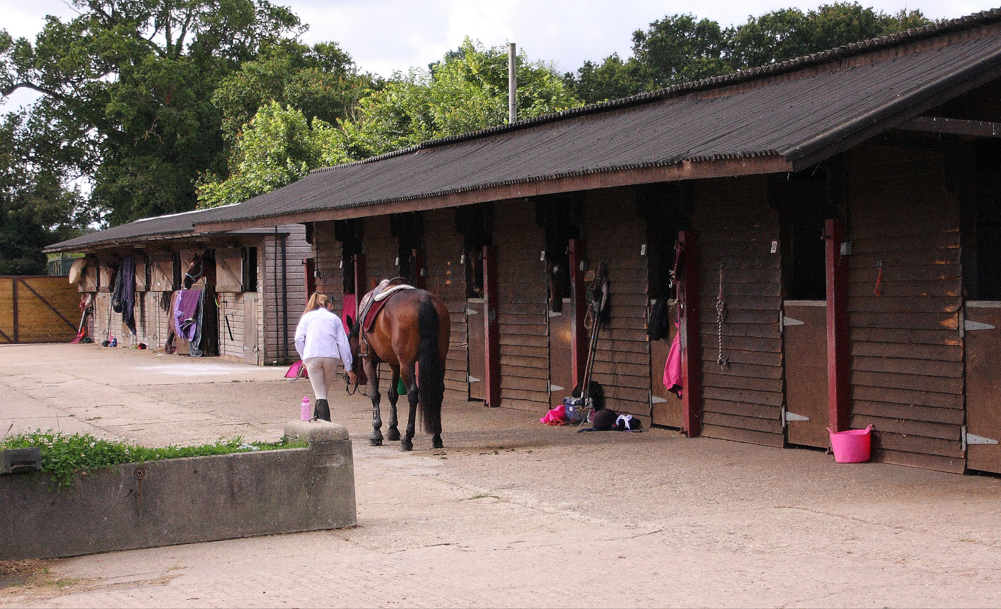 old block stables